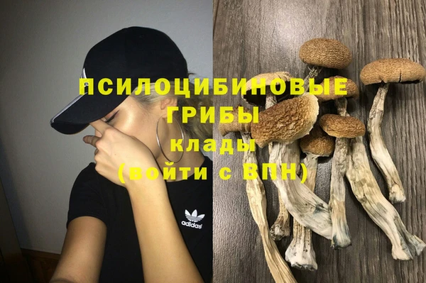 индика Нязепетровск