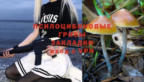 первитин Нягань