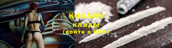 индика Нязепетровск