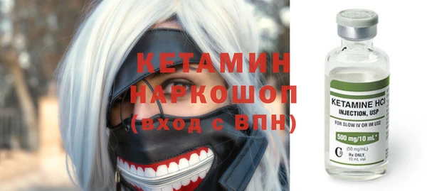 индика Нязепетровск