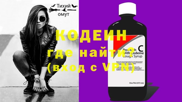 индика Нязепетровск