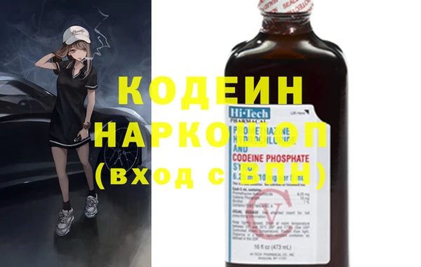 амф Няндома