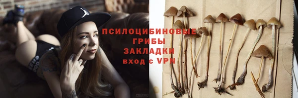 индика Нязепетровск