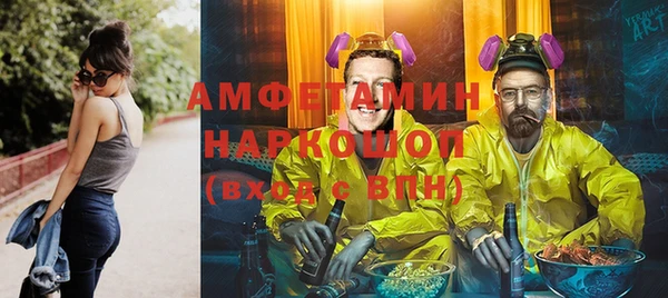 индика Нязепетровск