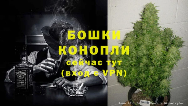 первитин Нягань
