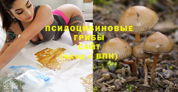 индика Нязепетровск