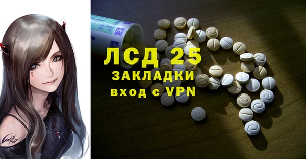 индика Нязепетровск