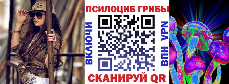 Псилоцибиновые грибы Cubensis  OMG зеркало  Сорск 